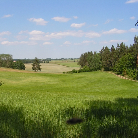Okolica Matłaka