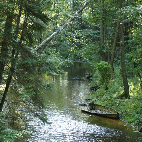 Rzeka Rospuda